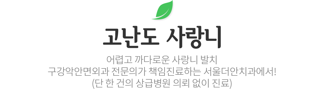고난도 사랑니